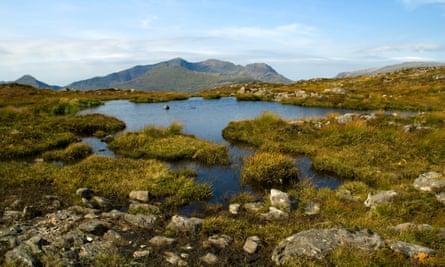 The Snowdon range, from Yr Arddu.