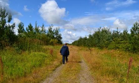Watchtree Nature Reserve footpath and woods