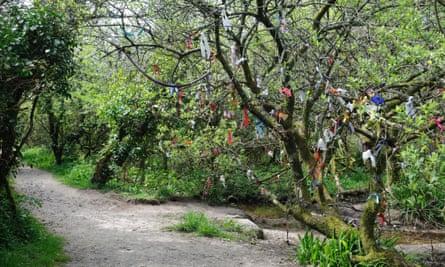 Votive offerings on a tree at Madron Holy Well Cornwall England UK GBVotive offerings on a tree at Madron Holy Well, Cornwall