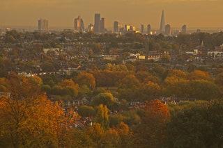 3. Go on a north London nature walk