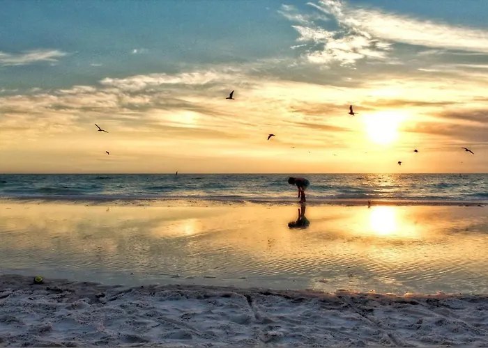 Top Hotels in Indian Rocks Beach