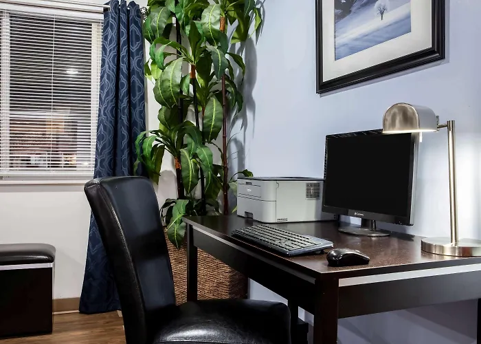 Top Washington DC Hotels Close to Museums