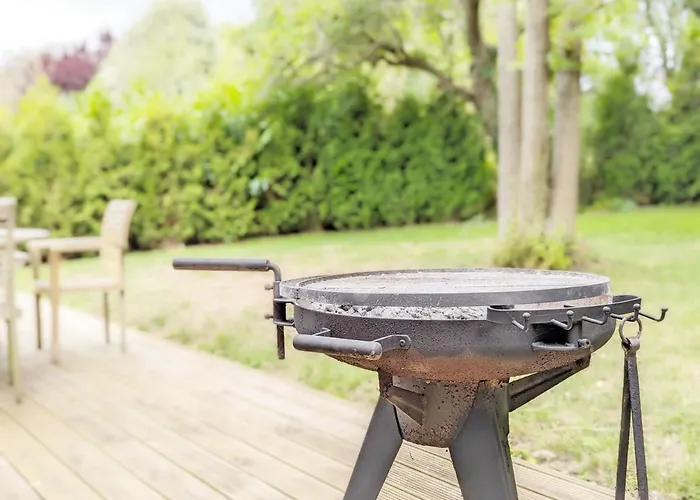 Top Hotels Near Bosham for Nature, History Lovers