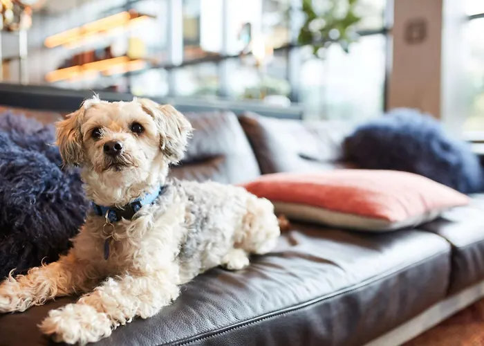 Top Presidio Hotels San Francisco for Unique Stays