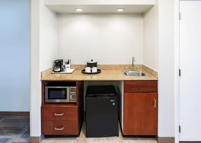 Best Popular Hotels in Miami for an Unforgettable Stay