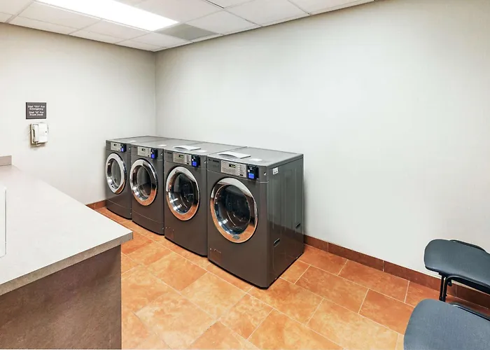 Best Popular Hotels in Miami for an Unforgettable Stay