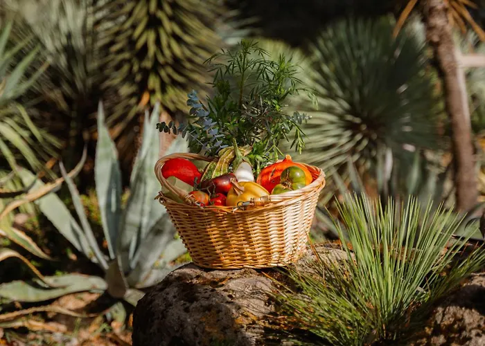Hôtels de charme à Pessac, près de Bordeaux