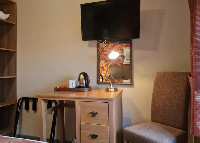 Top Dog-Friendly Accommodations in Conwy, Wales