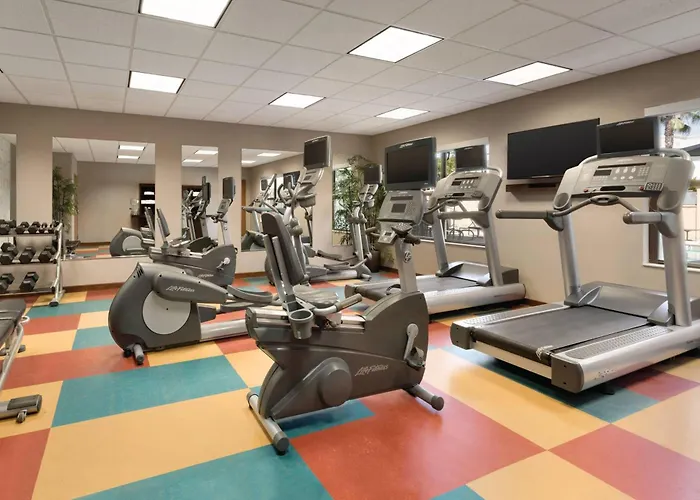 Top Hotels Near the Captivating San Marcos River