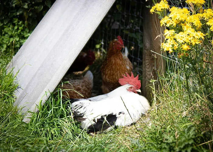 Best Hotels in Bawtry Road Doncaster