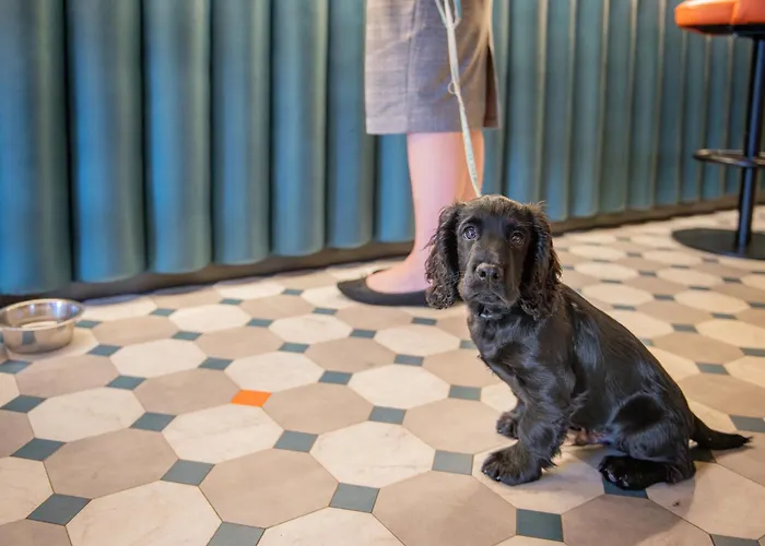 Premier Hotels in Kendal, UK