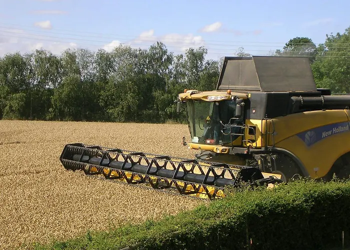 Best Cambourne Hotels for Unmatched Comfort