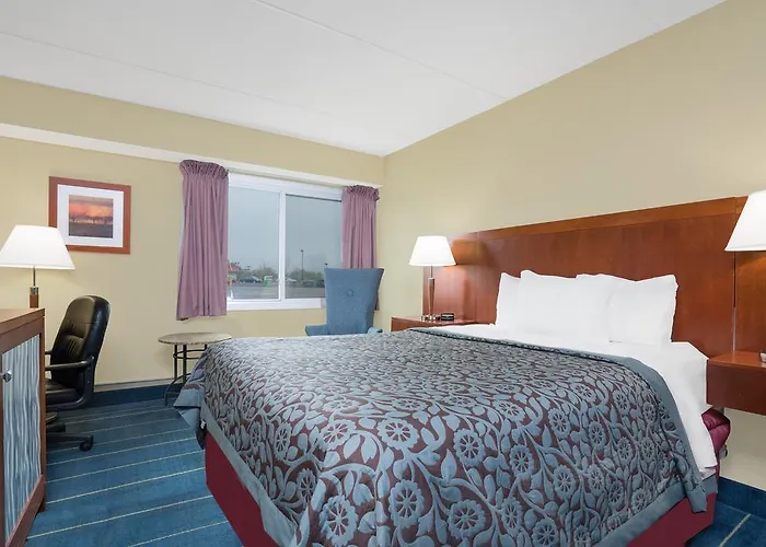 Top Alexandria Hotels