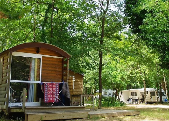 Meilleurs Campings à Avignon