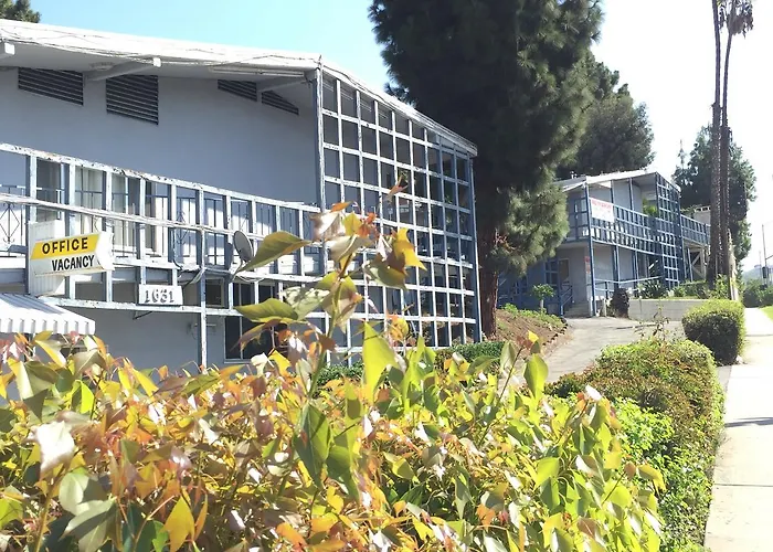 Best Los Angeles Hostels for Budget Travelers