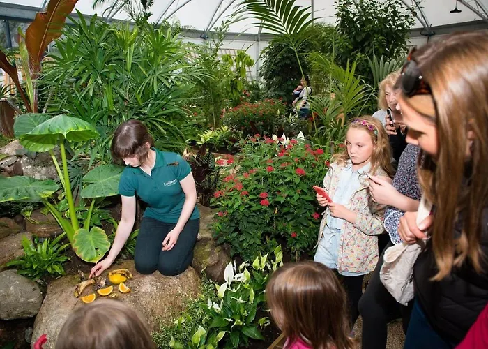 Premier Aviemore Hotels Macdonald for Highland Escapes