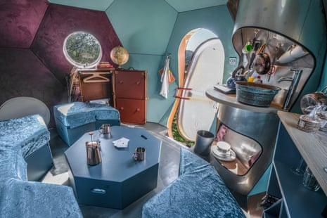 Red Kite Conker Powys