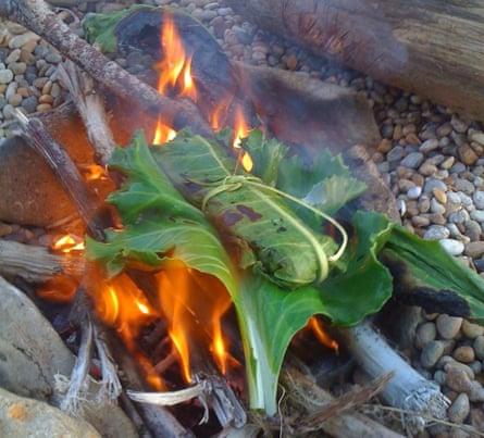 Coastal Survival Dorset food foraging course